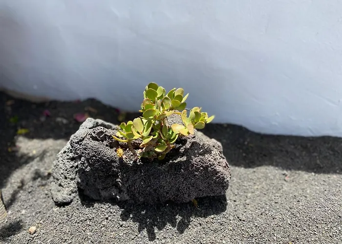 شقة Casa Camelio *