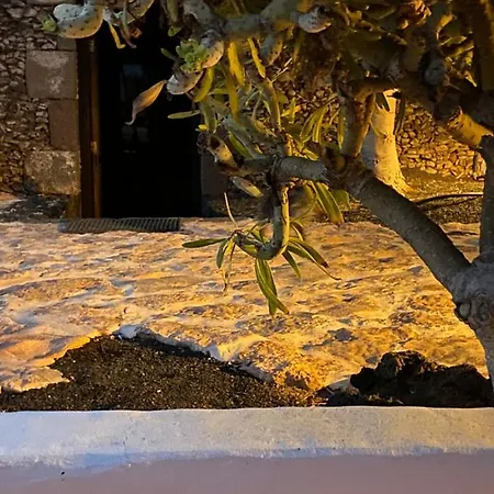 Διαμέρισμα Casa Camelio Mácher