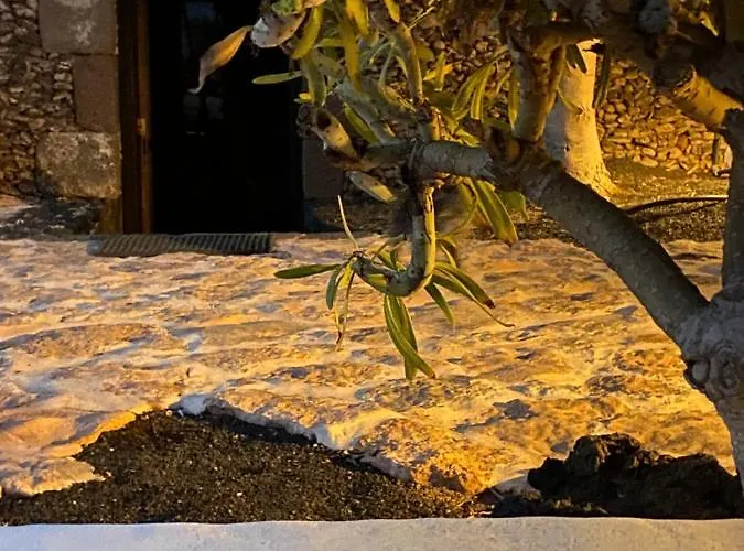 Διαμέρισμα Casa Camelio Mácher